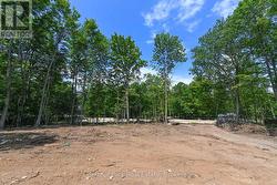 Front yard - 