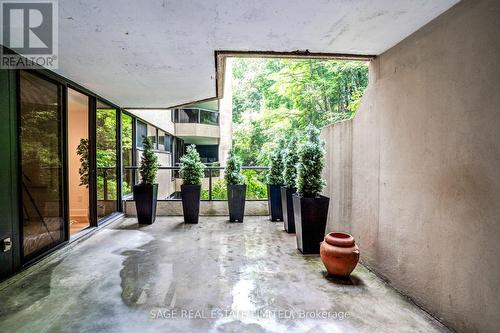 Terrace - 408 - 3900 Yonge Street, Toronto, ON 