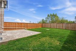 South Facing Yard - 