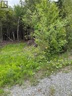 A-32 Deer Glen Drive Saint John, NB E2H 2Z6
