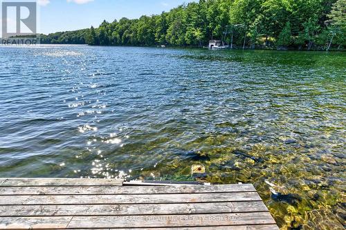 1881B Massassauga Road, Frontenac (Frontenac South), ON 