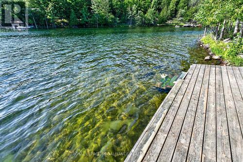 1881B Massassauga Road, Frontenac (Frontenac South), ON 
