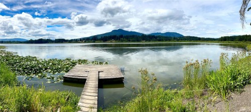 6458 Diana Dr, Duncan, BC 