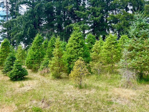 6458 Diana Dr, Duncan, BC 