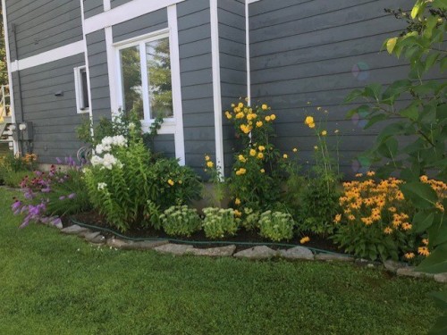 Jardin - 1-512 Ch. De Bondville, Lac-Brome, QC - Outdoor