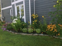 Jardin - 