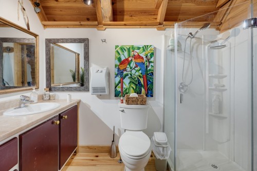 Bathroom - 182 Ch. Murray, La Pêche, QC - Indoor Photo Showing Bathroom