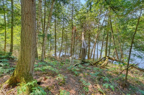 Lot - 182 Ch. Murray, La Pêche, QC - Outdoor With View