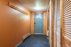 Hall d'entrée/Vestibule - 