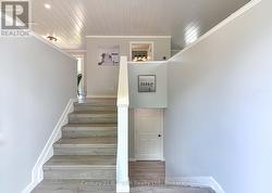 Come and take a peek! - 