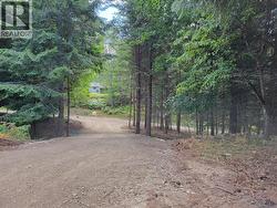 Parcel A 11TH Avenue  New Denver, BC V0G 1S1