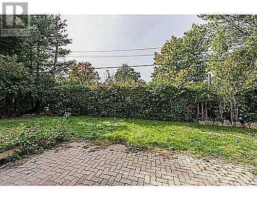 Yard/Garden. - 2576 Alta Vista Drive, Ottawa, ON 