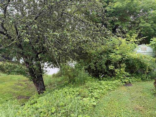 84 Warren Street, New Glasgow, NS 