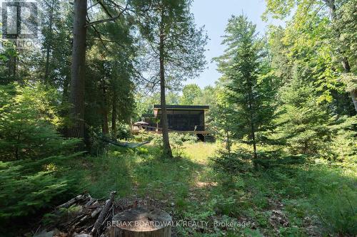 6603 Big Rideau Island, Rideau Lakes, ON 