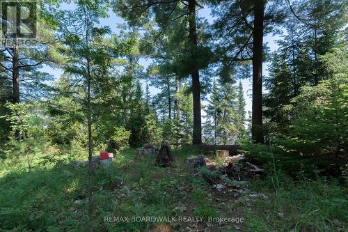 6603 Big Rideau Island, Rideau Lakes, ON 