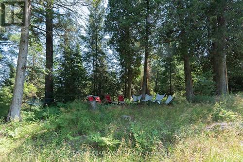 6603 Big Rideau Island, Rideau Lakes, ON 
