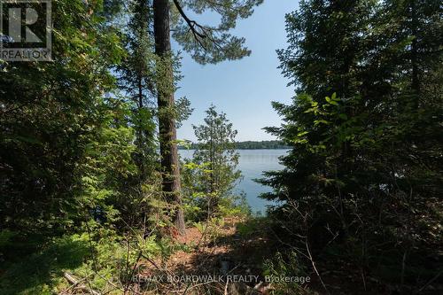 6603 Big Rideau Island, Rideau Lakes, ON 