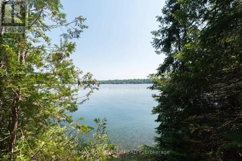 6603 Big Rideau Island, Rideau Lakes, ON 