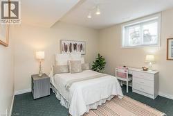 Carpeted room featuring a single window, track lighting, and a neutral wall color - 