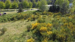 691 Kelsey Way  Sayward, BC V0P 1R0