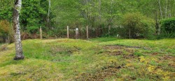 8 Freda Rd Tahsis, BC V0P 1X0