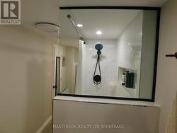 BASEMENT SHOWER - 