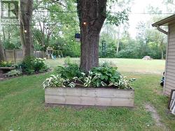 VIEW OF BACK YARD FROM PATIO - 