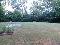 LARGE YARD BEHIND GARAGE - 