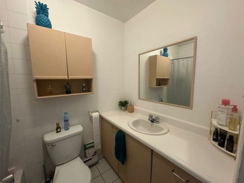 Salle de bains - 3-1483 Rue Ste-Catherine E., Montréal (Ville-Marie), QC - Indoor Photo Showing Bathroom