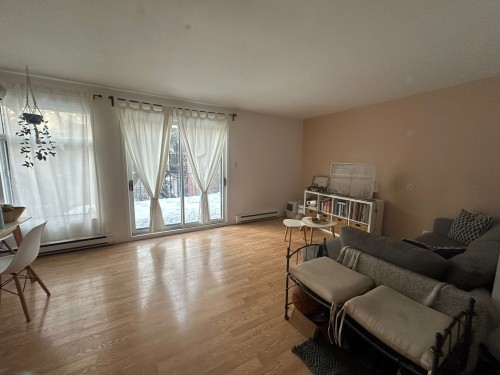 Salon - 3-1483 Rue Ste-Catherine E., Montréal (Ville-Marie), QC - Indoor Photo Showing Living Room