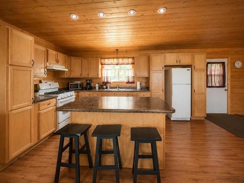D742 Dam Road, Emo, ON - Indoor Photo Showing Kitchen