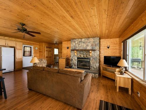 D742 Dam Road, Emo, ON - Indoor Photo Showing Living Room With Fireplace