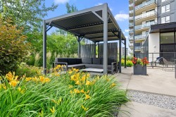 Terrasse - 