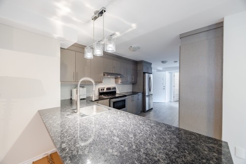 Cuisine - 4110 Rue De Louviers, Brossard, QC - Indoor Photo Showing Kitchen With Double Sink With Upgraded Kitchen