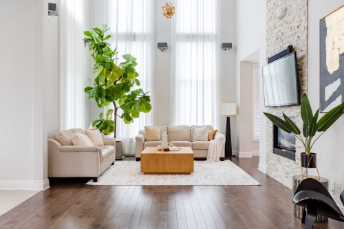 Salon - 4110 Rue De Louviers, Brossard, QC - Indoor Photo Showing Living Room With Fireplace