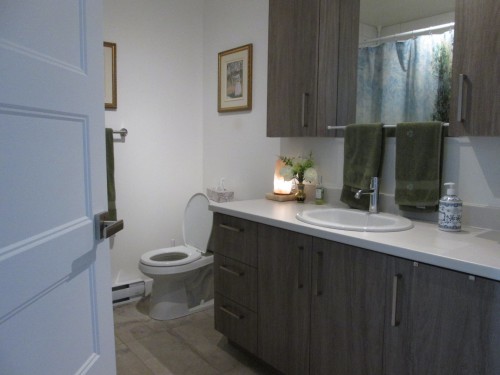 Salle de bains - 361  - 381 Rue Blanchard, Saint-Jérôme, QC - Indoor Photo Showing Bathroom