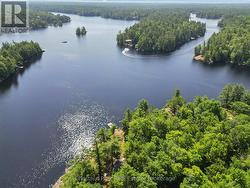 Riley Lake is a hidden gem in Muskoka! - 