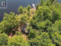 Encompassed by trees for wonderful privacy - 