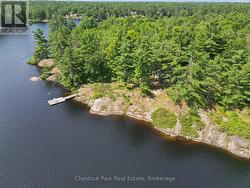 A++ shoreline - 