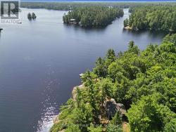 A stunning shoreline and privacy - 