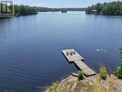 Deep clean water off the dock - 