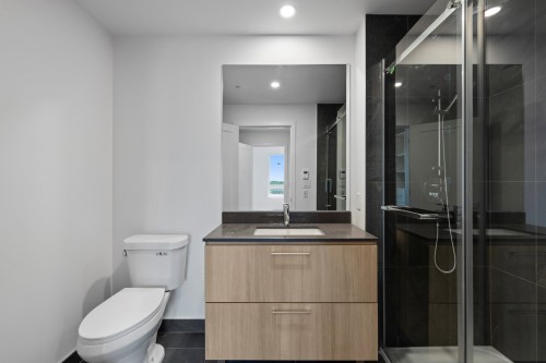 Bathroom - 705-138 Rue Léo-Major, Sainte-Anne-De-Bellevue, QC - Indoor Photo Showing Bathroom