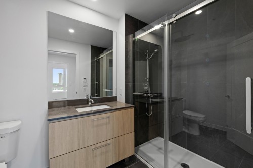 Bathroom - 705-138 Rue Léo-Major, Sainte-Anne-De-Bellevue, QC - Indoor Photo Showing Bathroom