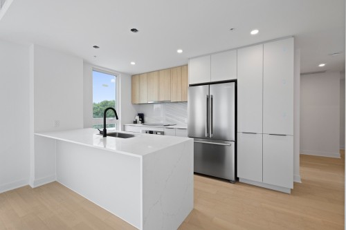 Kitchen - 705-138 Rue Léo-Major, Sainte-Anne-De-Bellevue, QC - Indoor Photo Showing Kitchen