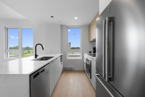 Kitchen - 705-138 Rue Léo-Major, Sainte-Anne-De-Bellevue, QC - Indoor Photo Showing Kitchen With Upgraded Kitchen
