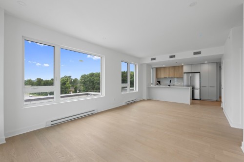 Living Room - 705-138 Rue Léo-Major, Sainte-Anne-De-Bellevue, QC - Indoor