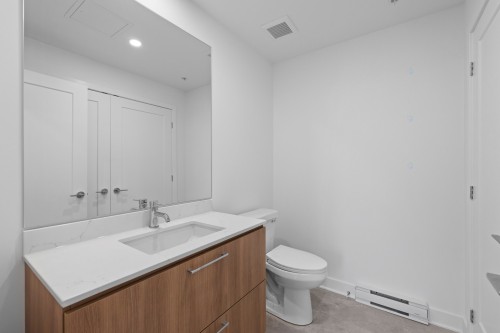 Powder room - 705-138 Rue Léo-Major, Sainte-Anne-De-Bellevue, QC - Indoor Photo Showing Bathroom