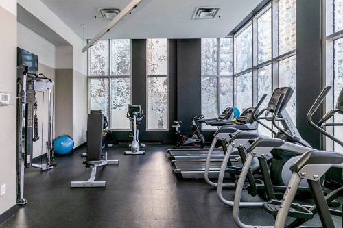 Exercise Room - 407-1265 Rue Lambert-Closse, Montréal (Ville-Marie), QC - Indoor Photo Showing Gym Room