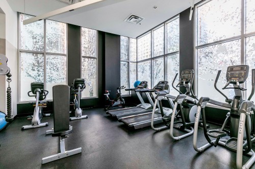 Exercise Room - 407-1265 Rue Lambert-Closse, Montréal (Ville-Marie), QC - Indoor Photo Showing Gym Room