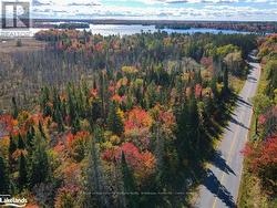 0 HWY 518 W Mcmurrich/Monteith (Bear Lake), ON P0A 1Y0